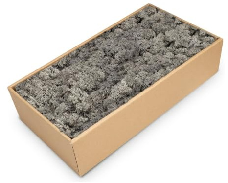 NaDeco Islandmoos anthrazit 500 g, konserviertes Rentiermoos für Mooswand | Aus Norwegen, eingefärbt, bleibt dauerhaft weich und formbar, für Gestecke, Kränze und Bastelarbeiten