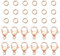 PandaHall 60 Stk. 5 mm 304 Edelstahl-Sprungringe Mit 30 Stk. Hummerkrallenverschlüsse Für Ohrringarmband Halskette Anhänger Schmuck DIY Basteln, Roségold