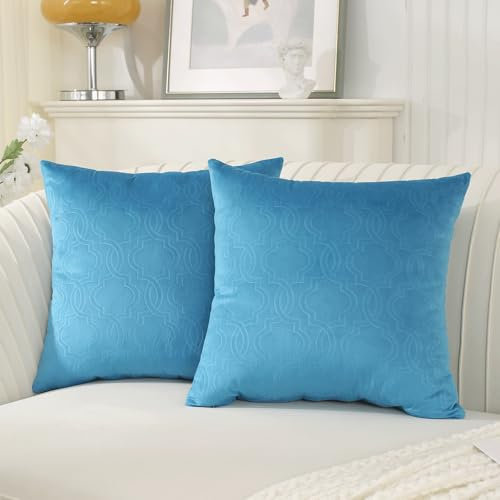 Ystyle Funda Cojin 50x50 Cojines para Sofa de Terciopelo Juego de 2 Cojines Salon para Decoracion Hogar Fundas Cojines de Almohada Moderna para Sala de Estar Sofás Cojines Cama, Azul