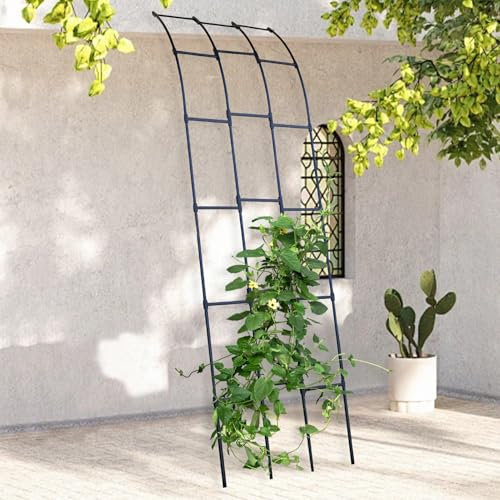 MARXAN Wandmontiert Garten Bogen Spalier mit gekrümmten Top | Schwarz im Freien Halb-Bogen Pflanze Unterstützung für Kletterrosen Reben | Rasen/Patio/Hinterhof Dekoration(W90xH180CM(3.0x5.9FT))