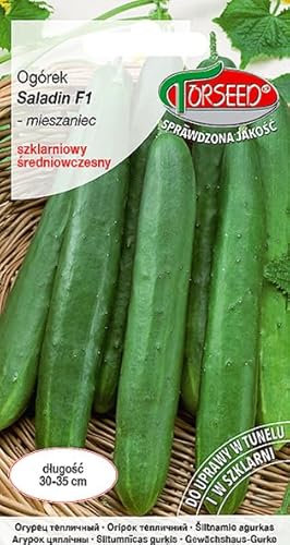 Verdica Saladin F1 Gurkensamen – Bitterfrei, Zarte Schale, Perfekt für Gewächshäuser, Parthenokarpischer Hybrid, 30-35 cm Früchte, Robustes Wachstum (1 Gramm)