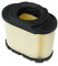 Briggs & Stratton 593240 Filtre à air, Multicolore