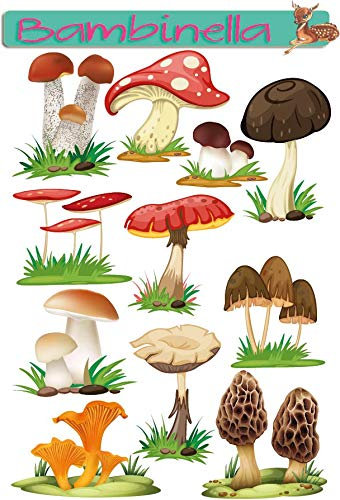 Bambinella Stickerparade – Pilze - 10 Sticker aus PVC-Folie nur für Glatte Oberflächen.