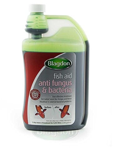 Blagdon Fast Acting Anti-Fungus & Bacteria Water Treatment for All Pond Fish, Finrot, Mouthrot, External Bacterial Infections, Wildlife & Fish Safe, 1 Litre