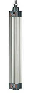 RIEGLER 106249-5.DMD.100200 Normzylinder, doppeltwirk., Magnet, Kolben-Ø 100, Hub 200, G 1/2, 1Stk