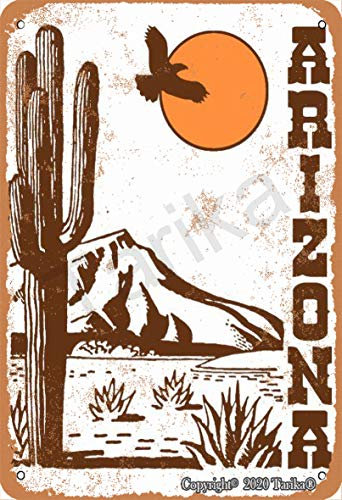Arizona Poster Desert 20,3 x 30,5 cm Vintage Look Blechdekoration Malerei Schild für Zuhause Küche Bad Bauernhof Garten Garage inspirierende Zitate Wanddekoration