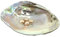 Abalone Muschel, Räucherschale & Dekoration (ca. 12cm)