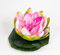 Seidenblumen Roß Lotusblüte/Seerose 17x15cm JA Kunstblumen künstliche Blumen Rose Schwimmrose Lotus Nymphaea (Lila-Weiß)