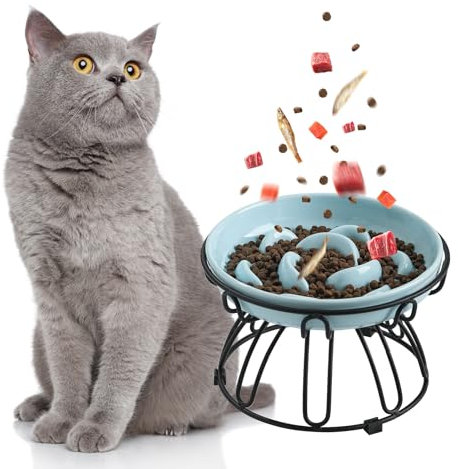 Gamelle Anti Glouton Chat Surélevée - Gamelle Chat Ceramique avec Support en Métal Antidérapant - Bol Nourriture Sureleve Anti Vomissement - Bleu pâle