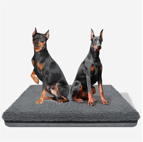 MeLtor Hundebett Mittelgroße Hunde, mit Eierförmiger Kistenschaum Hunde Bett, rutschfeste Unterseite, Bezug Abnehmbar Waschbar Hundekissen Orthopädisch,style1-L(36×27×3in)