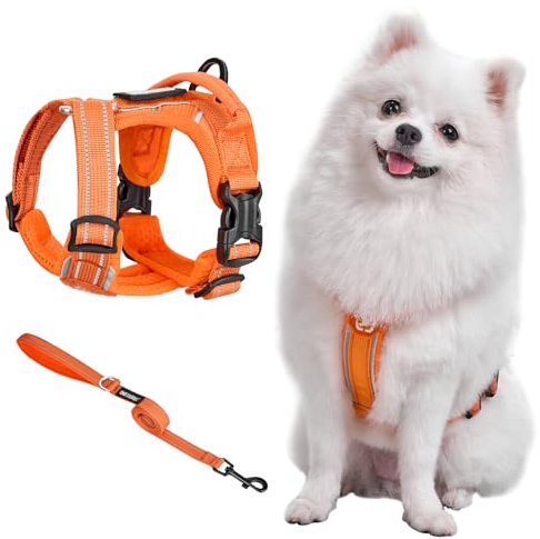 OneTigris Geschirr Set für Kleine Hunde, ANTZ Tactical Geschirre und Leine mit Lichtreflexband, Hundegeschirr mit Griff für Kleine, Mittelgroße Hunde wie Chihuahua, Yorkshire, Wiener Hund,Orange XS