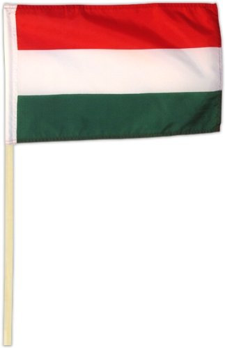 Fahne Flagge Ungarn 30 x 45 cm mit Stab