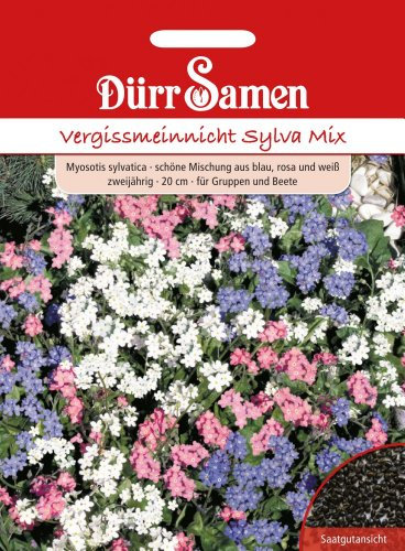 Vergissmeinnicht Samen Sylva Mix Vergissmeinnichtsamen ca 100 Korn Farbmix Saatgut Garten Hochbeet Kübel Beete Blumenkästen Dürr Samen