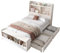 Billg Kinderbett 90 x 200cm, Einzelbett Bettgestell, Holzbett Con 2 Schubladen und Sitzbank, Kopfteil Stauraum, Lattenrost, Jugendbett für Mädchen und Jungen, Ohne Matratze