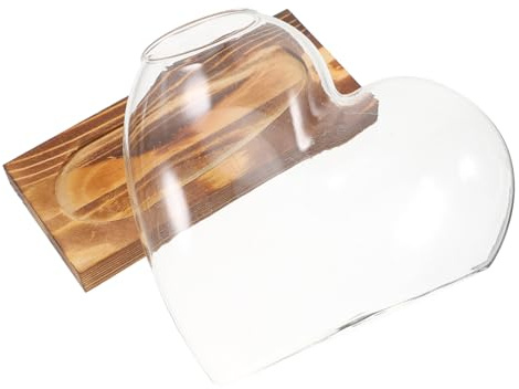 NOLITOY Glasterrarien für Pflanzen Transparente Hydrokulturvase mit Holzsockel Kleine Tisch-vermehrungsstation für Zimmerpflanzen Hydroponic Behälter für Kreative Pflanzenpflege