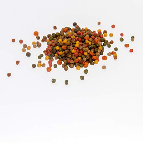 Koi Koifutter * 5-Sorten-Mix * 15Liter + 1 Liter Seidenraupen von (6mm)