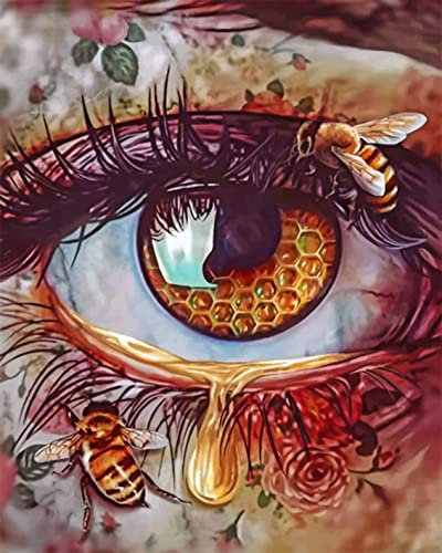 TISHIRON Malen nach Zahlen Erwachsene Augen DIY Malen nach Zahlen Malsets für Erwachsene mit Pinseln Honig und Biene Farbe nach Zahlen Kunsthandwerk 40 x 50 cm(Rahmenlos)