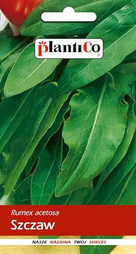 PlantiCo Lione semi di acetosa 2g Pianta perenne resistente al gelo Ricca di vitamina C e ferro Ideale per terreni acidi