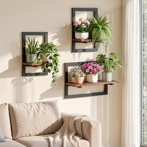Housolution Set da 3 Portapiante da Parete,Mensola con Design Cornice Foto