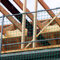 Seitenschutznetz 5,00 x 1,50 m, PP grün, Mw. 100 mm, DIN-EN 1263-1