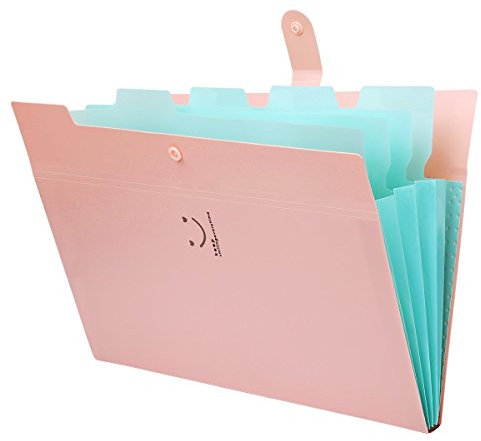 Ordnungsmappe a4 Fächermappe erweiterbar Ordner,HAISSKY Fächermappe A4 Brief Größe 5 Fächer mit Schnalle Schließung Archival Organizer für Büro Hause Schule und Reisen