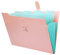 Ordnungsmappe a4 Fächermappe erweiterbar Ordner,HAISSKY Fächermappe A4 Brief Größe 5 Fächer mit Schnalle Schließung Archival Organizer für Büro Hause Schule und Reisen