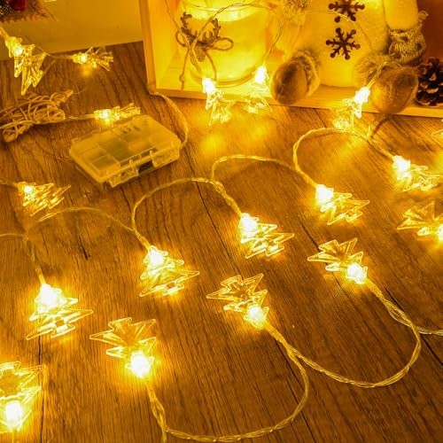 Dalugo Lichterkette Weihnachtsbaum Batterie, 6M 40LED Warmweiß Outdoor Weihnachtsbeleuchtung mit Timer, IP65 Wasserdicht Lichterkette Batterie Außen für Schlafzimmer,Balkon, Hochzeit,Weihnachten Deko