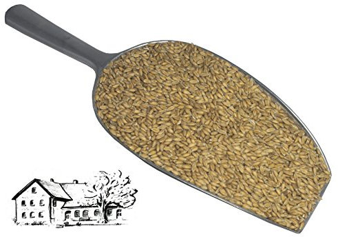 Dinkelkörner (10kg) direkt vom Dinkelhof Horstmann, Ernte Juli 2025