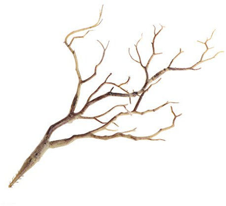 Xuniu Plantas Artificiales Árbol Seco Plástico Pavo Real Ramas de Coral Decoración de La Boda Café 36 cm