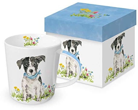 Kaffeebecher Hund mit Geschenkbox, Border Collie Bobby, Tasse Tiere Tier Geschenkset Hunde