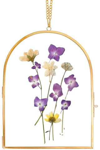 REDHUGO Glasgepresster Blumenrahmen, handgefertigt, Glasrahmen für gepresste Blumen, Wandbehang, schwimmender Rahmen, einzigartiger Doppelglas-Bilderrahmen für getrocknete Blumen, Poster, Zuhause,