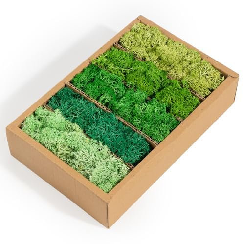 AIBAOBAO 5 Colors Lifelike moss Faux Natural Fresh Green moss for Crafts home office wall tea Table Decorations Forest Art for Gardens Terrariums DIY Plant Decor 200g fake Moss for Indoor Plant Pots