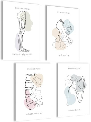 mojoliving Skelett Anatomie Poster Set Anatomie Modell Bilder Schlafzimmer Anatomie Skelett Deko Aesthetic Bilder Vintage Anatomie Poster Skelett Aesthetic Room Decor Fitness Poster