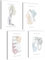 mojoliving Skelett Anatomie Poster Set Anatomie Modell Bilder Schlafzimmer Anatomie Skelett Deko Aesthetic Bilder Vintage Anatomie Poster Skelett Aesthetic Room Decor Fitness Poster