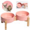 Gamelle Surélevée en Céramique pour Chien et Chat – Set de 2 Bols avec Support en Bambou – Idéal pour Nourriture et Eau – Gamelles Doubles pour Petits Chiens – 2 x 480 ML