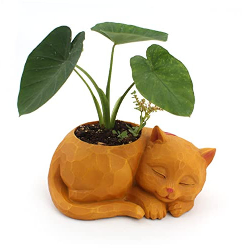 BESTonZON Pot De Fleurs Forme De Chat pour Jardin Bureau Kaki Décoratif pour Plantes Charnues Bonsaïs
