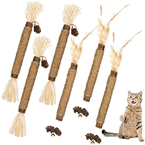 Dacitiery Silvervine Cat Chew Sticks, 6 Pack Kitten Chew Toys | Natural Cat Teeth Cleaning Catnip Toys for Indoor Kitten Teething and Stress Release