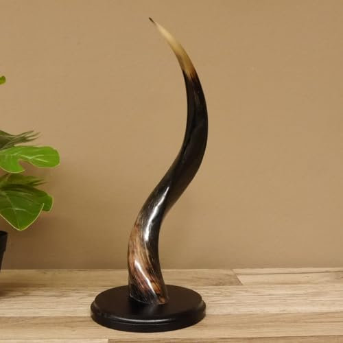 GTK - Geweihe & Trophäen KRUMHOLZ 1 Stück Kudu Aussenhorn glanzpoliert Mini auf Ständersockel H 34 cm