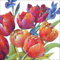 Ambiente Servietten Cocktail Kaffee Papierservietten 3 lagig 33 x 33 cm / 20 Stck. Tulpen Blumen Frühling Sommer Tischdekoration Basteln und Decoupage