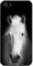 Fancy A Snuggle Majestic White Horse Portrait Snap-on Hard Back Case Phone Cover for Apple iPhone 5S / 5