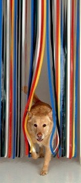 Plastiques Hollande UK Limited Rideau de Porte Type lamelle résistants aux bestioles et aux Mouches- Traditionnel Multicolore - avec des Crochets Auto-adhésifs pour Cadres de PVC Plastique
