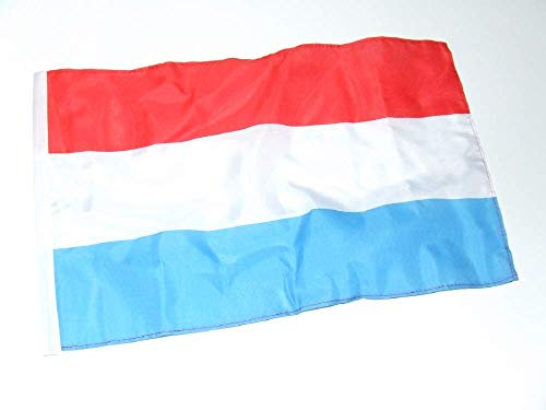 Luxemburg Flagge/Fahne 30x45 cm