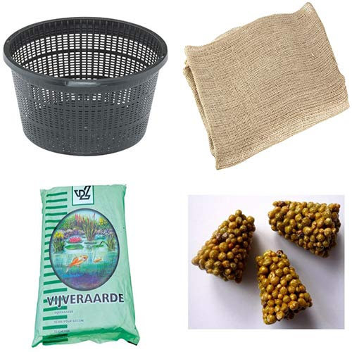 NINFEA - rustica e resistente (SOLO vaso + terra+concime)