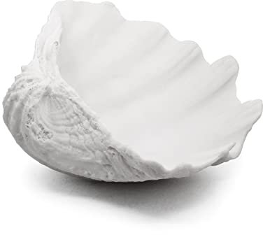 Accessoryway Große weiße Meeresmuscheln, dekorative Schüssel, Kunstharz, Muschelschale, Stranddekoration, Dekoration, Aufbewahrungsschalen und Zuhause, Büro, nautische Mottoparty-Dekoration, 26,9 cm