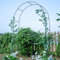 YZJTSXQHY Stahl Rosenbogen Rosengestell, Gartenbogen wetterfest, Romantisches Torbogen Hochzeit, Rankgitter mit Basis, kinderleicht aufzubauen, für Kletterpflanzen, Weinreben(dunkelgrün,WxH180x250cm)