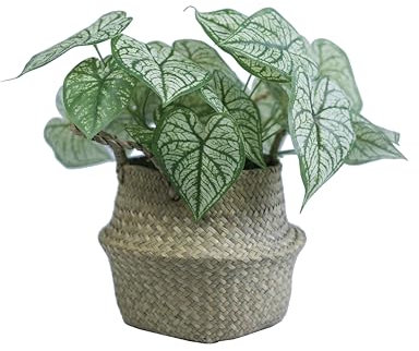 VerdantCharm Cœur Blanc Artificiel, Lot de 2, 36x37.5cm Décoration d'Intérieur pour Chambre & Bureau Maison