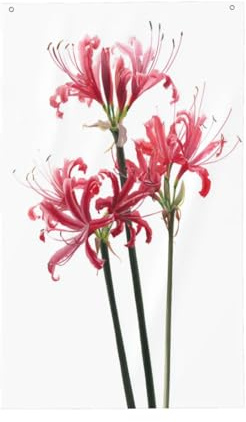 Pinke Blumen auf weißem Aquarell, Hof-Hausflaggen, 90 x 150 cm, mit Ösen, für drinnen und draußen, Party-Dekoration