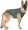 Canada Pooch Hundemantel, Northern Knit Sweater, gefütterter Pullover für Hunde, Grün, Größe 18