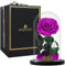 PÉTIOLE DE ROSE Rosa eterna Real preservada, La Bella y la Bestia, Rosa eterna Natural en cúpula de Cristal, Regalo día de la Madre, San Valentín, Sant Jordi, Cumpleaños. (Violeta)