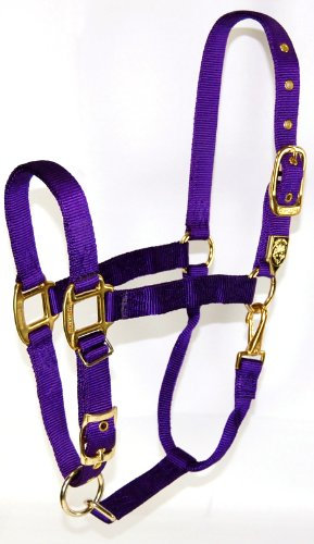 Hamilton Bauernhof 350508 Nylonhalfter mit verstellbarem Kinn, 2,5 cm, Violett – durchschnittliche Größe, Average, 800-1100 Pounds